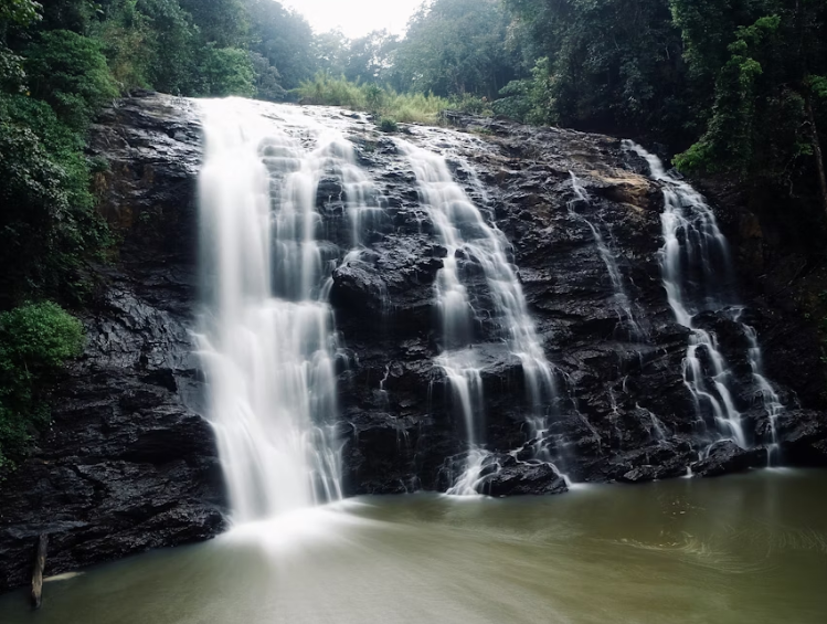 Local Sightseeing Packages in Coorg